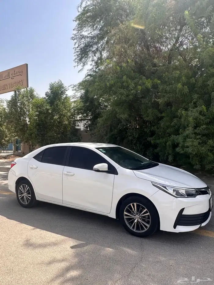 كورولا 2019 3