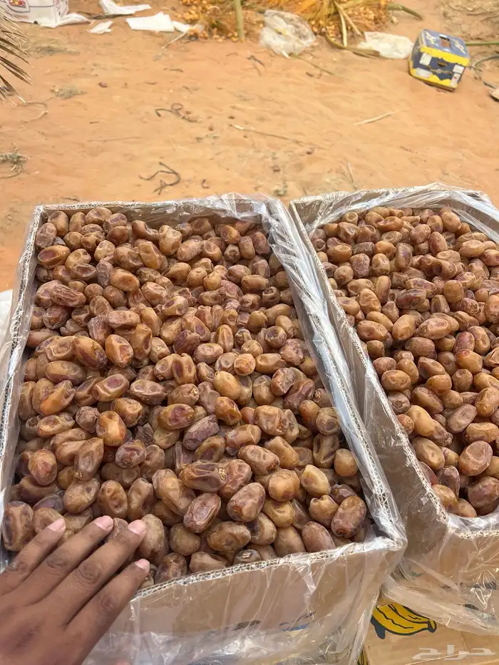 تمر اخلاص في الرياض 8