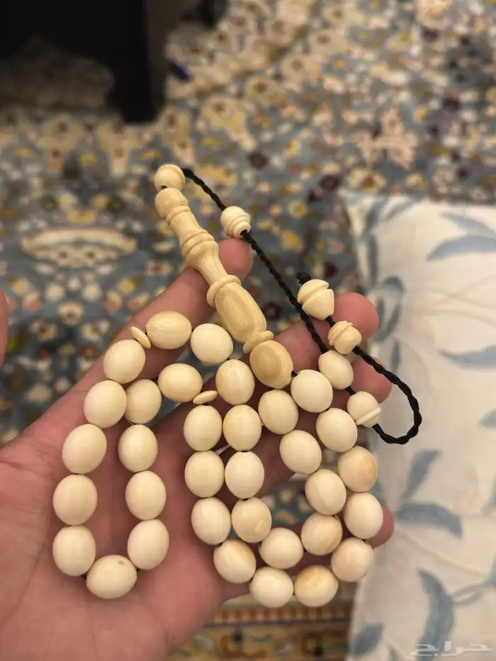 سبح يوجد توصيل لجميع مناطق المملكه 2