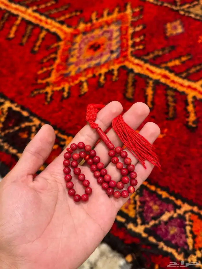 سبح يوجد توصيل لجميع مناطق المملكه 70
