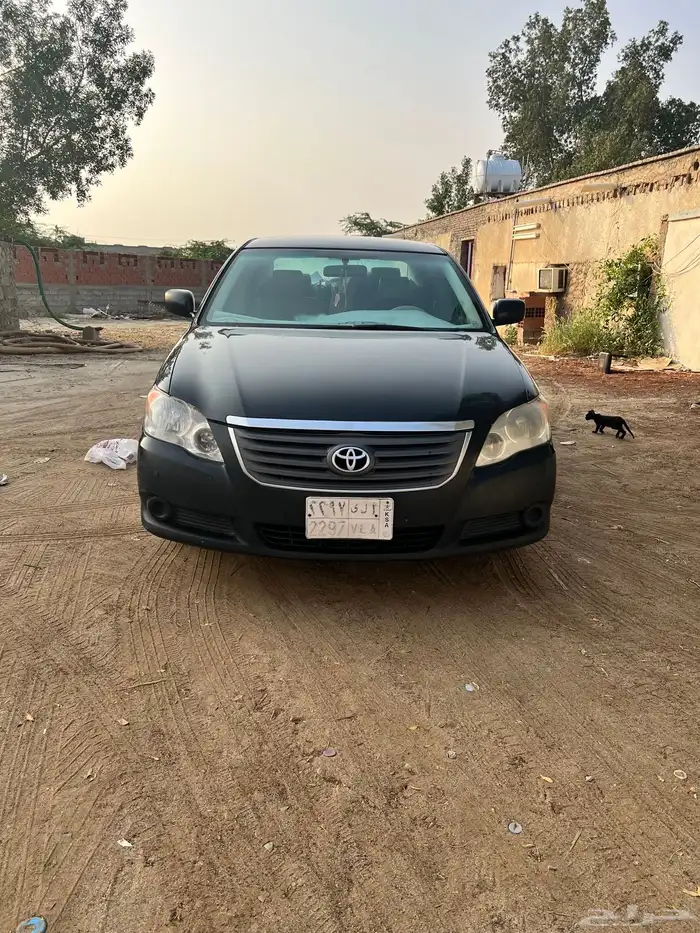 افالون 2009 القنفذه 9