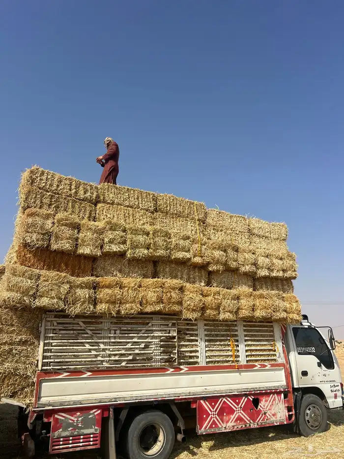 تبن بر 2