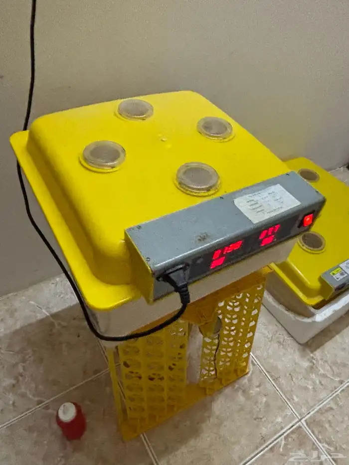 فقاصات اتماتيك 4