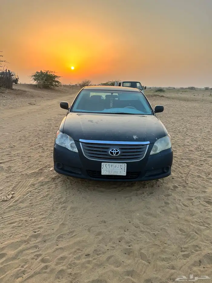 افالون 2009 القنفذه 2