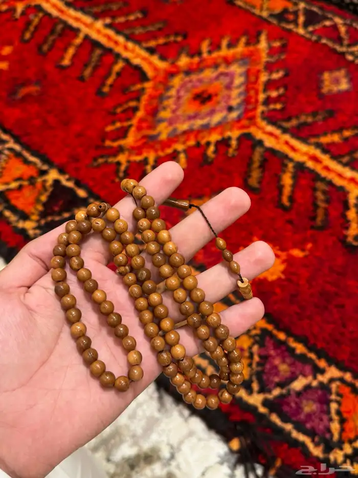 سبح يوجد توصيل لجميع مناطق المملكه 71