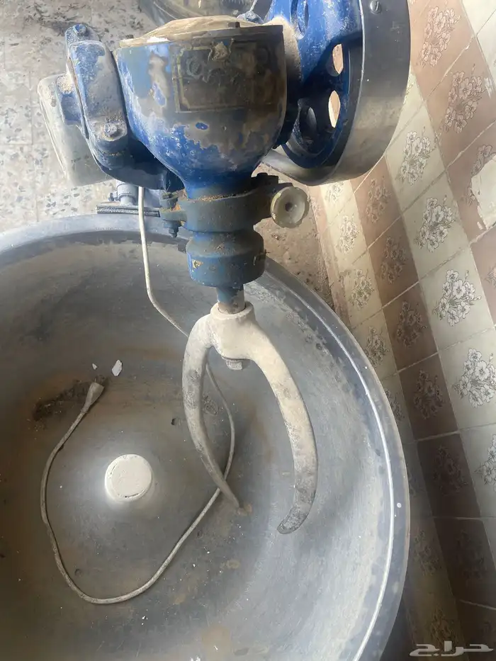 عجانة 1