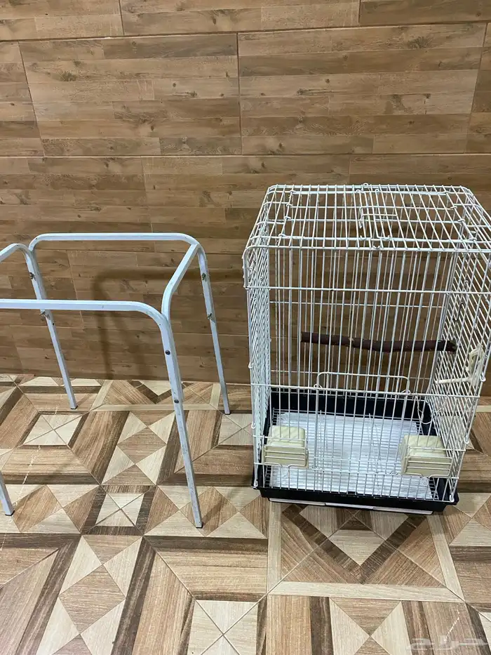 قفص ببقاء و استديو تصوير 1