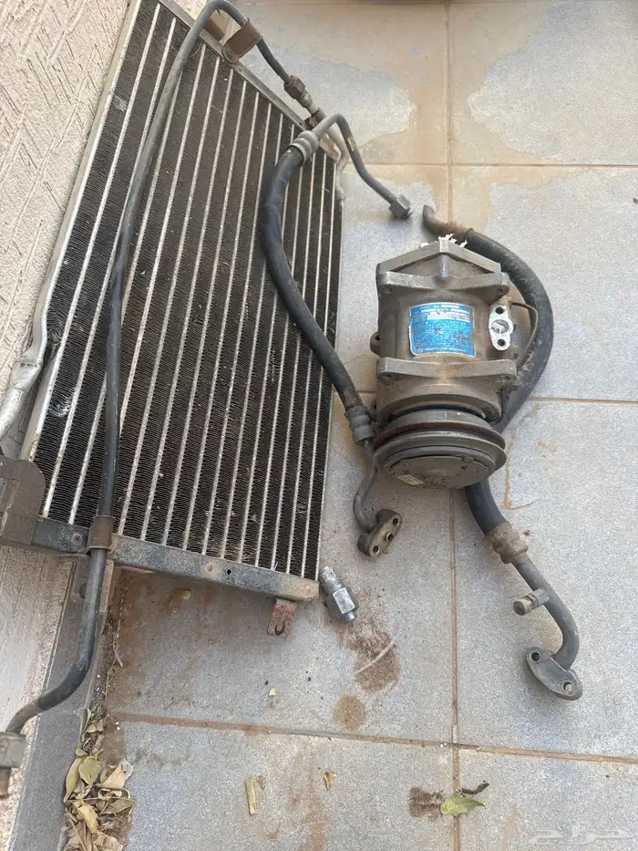 رياض الخبراء 1