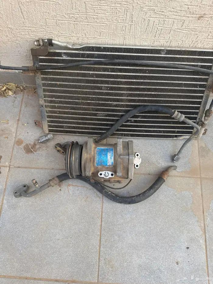 رياض الخبراء 0