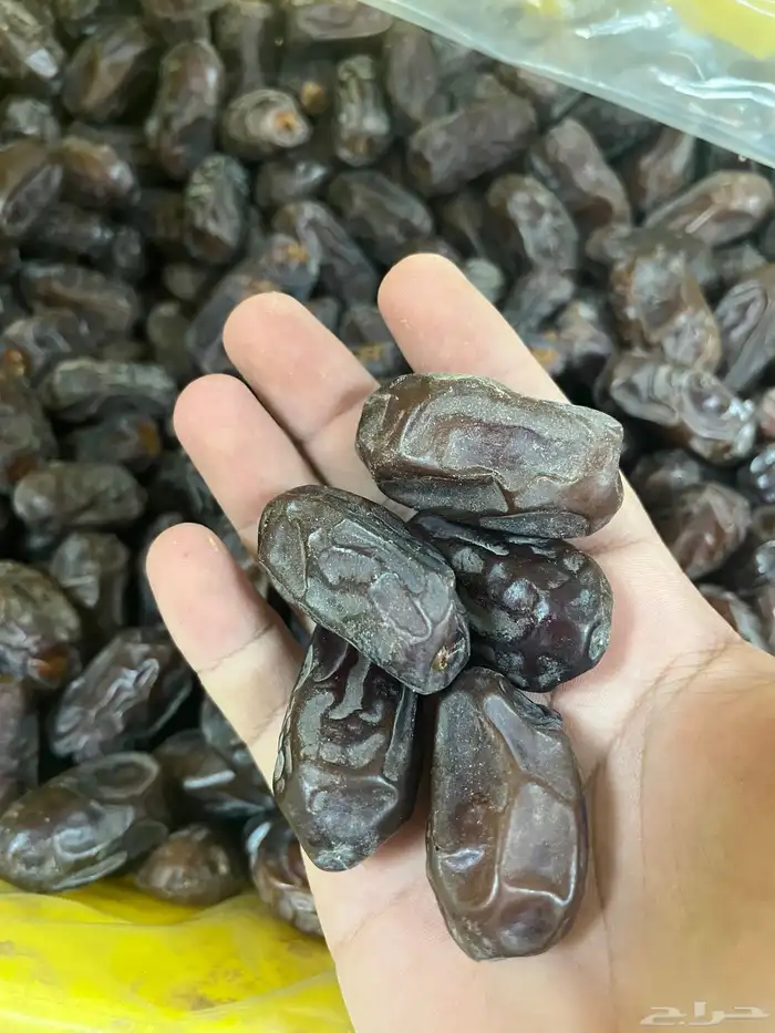 تمر خضري 1