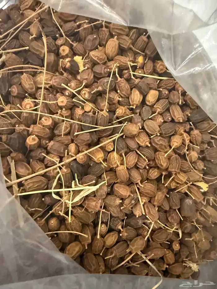 بذور نيم و الزنزلخت 0