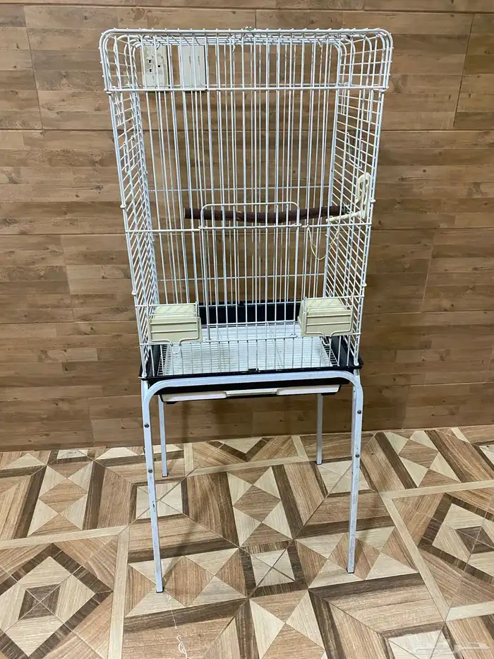 قفص ببقاء و استديو تصوير 0