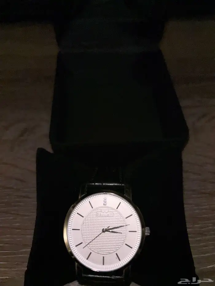 ساعة ماركة BEICHT 2