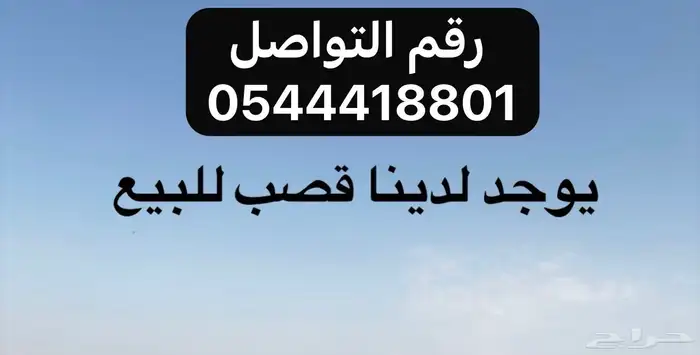 يوجد لدينا قصب للبيع 4