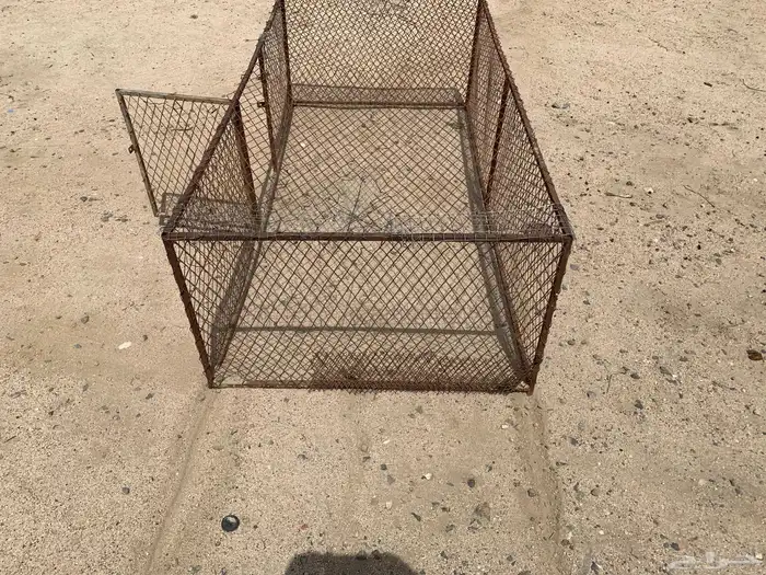 شبك دجاج 1