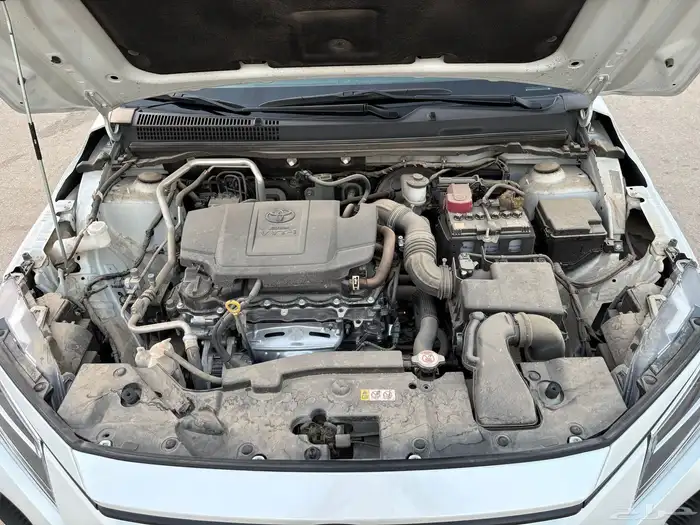 يارس واي بلس 2024 11