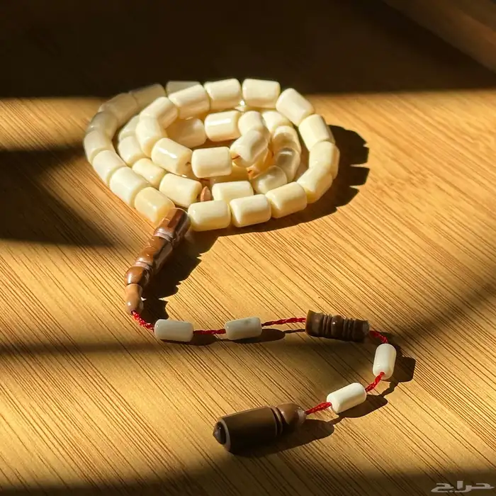 سبحه عضم 0