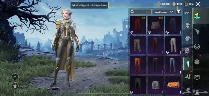 حساب ببجي للبيع 10