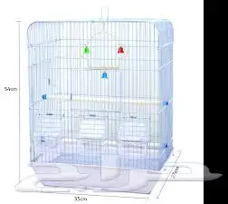 طيور زينة ومستلزماتها محل نوادر خميس مشيط 79