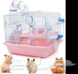 طيور زينة ومستلزماتها محل نوادر خميس مشيط 73