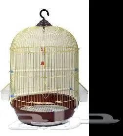 طيور زينة ومستلزماتها محل نوادر خميس مشيط 72