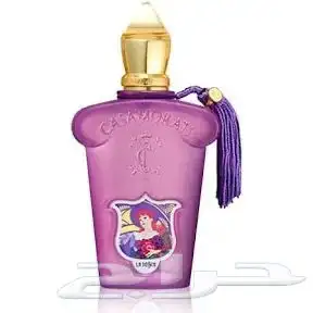 عطور ماركات عالميه 4