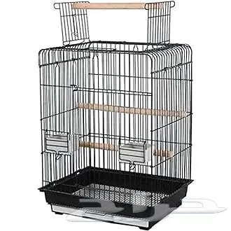 طيور زينة ومستلزماتها محل نوادر خميس مشيط 74