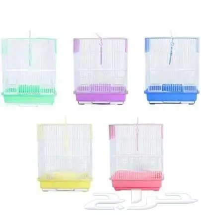 طيور زينة ومستلزماتها محل نوادر خميس مشيط 67