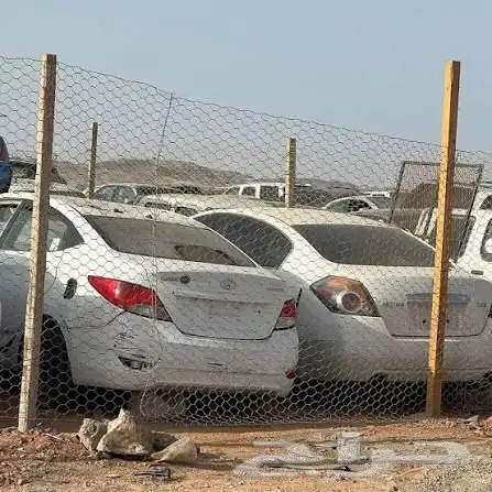 مندوب تشاليح 0
