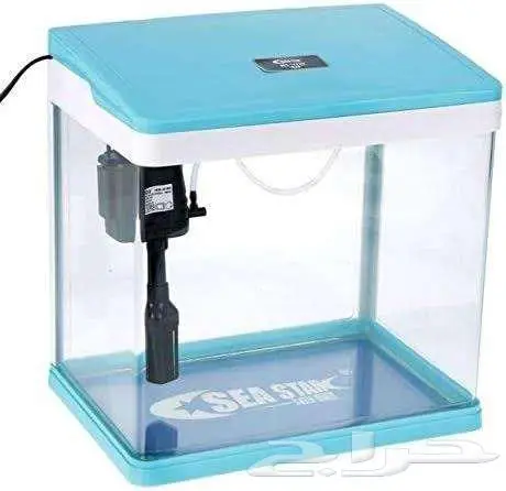 طيور زينة ومستلزماتها محل نوادر خميس مشيط 71