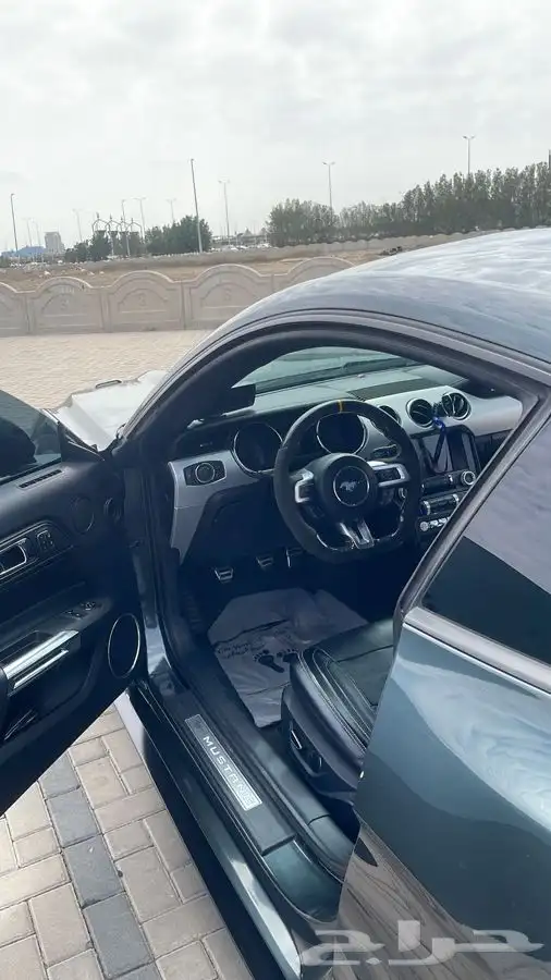 موستنق 5.0 قير عادي 14