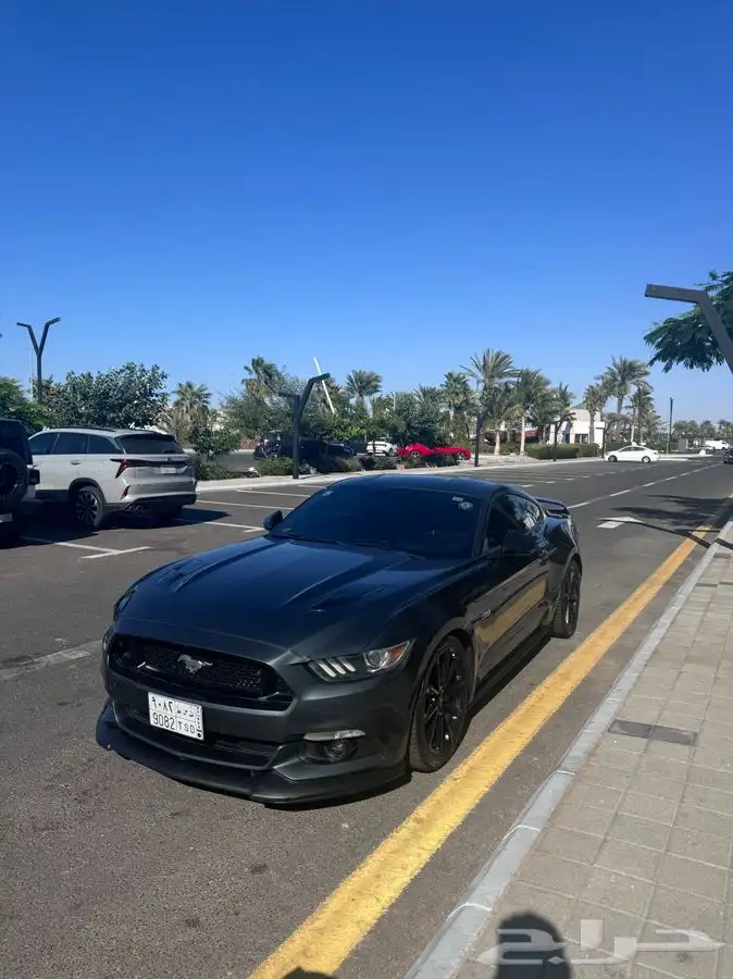 موستنق 5.0 قير عادي 16