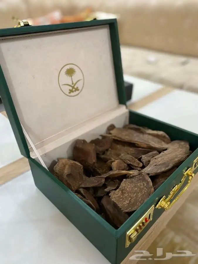 عود طبيعي مع شنطة سيفين ونخله 0