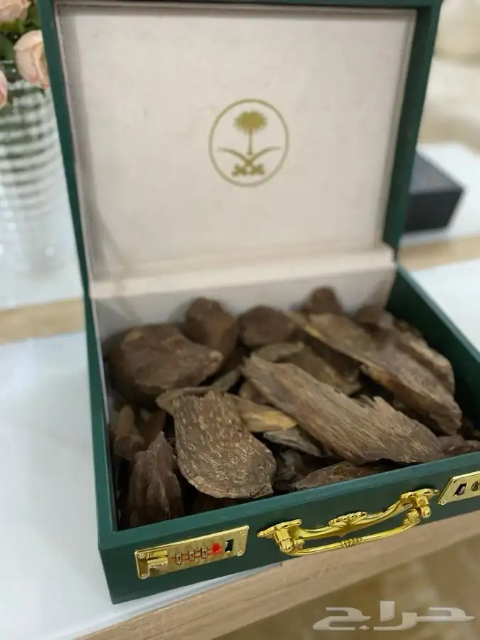عود طبيعي مع شنطة سيفين ونخله 1