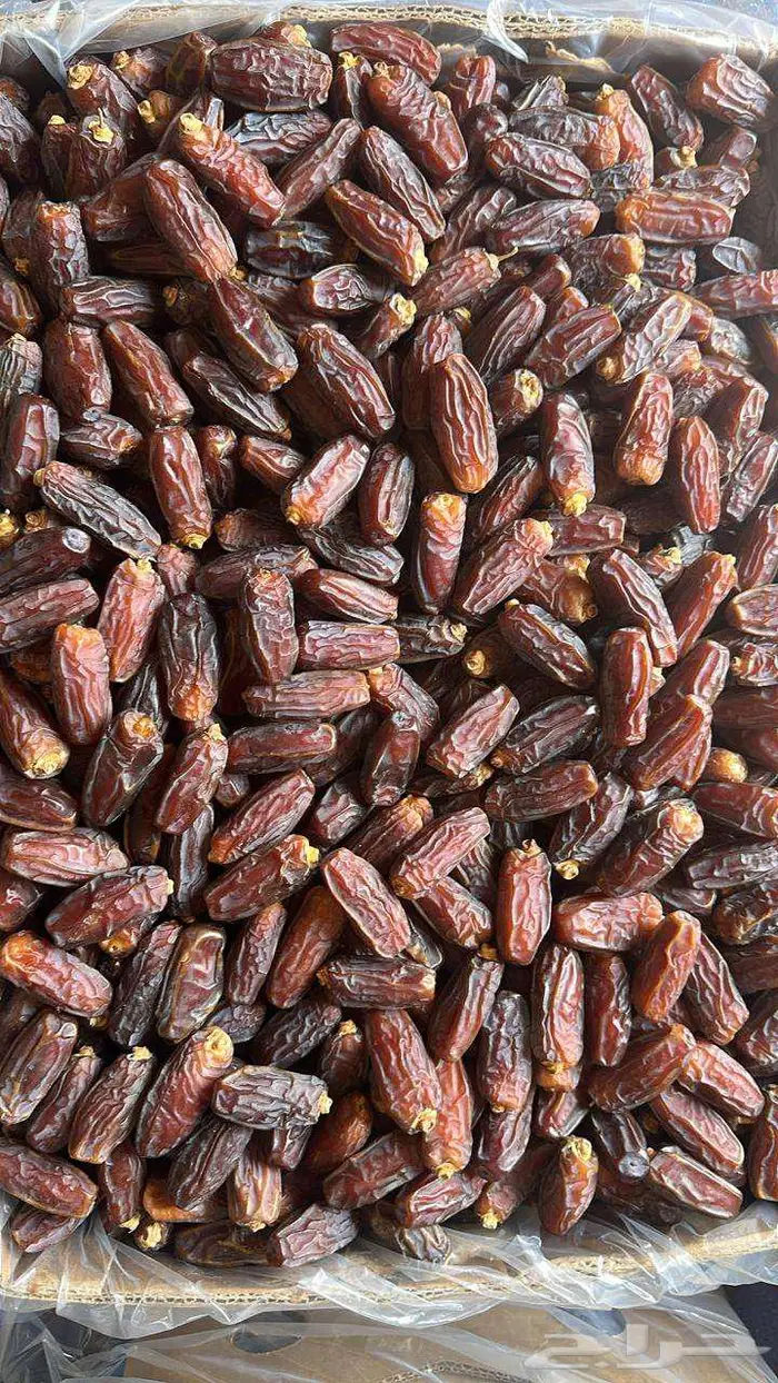 مبرم . صفاوى. عجوه المدينه 5