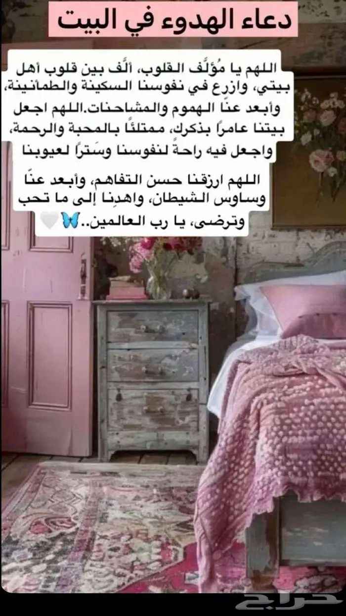 محتاج شقه للايجار بحدود12 ثلاث غرف وتكون إيجار شهري 0