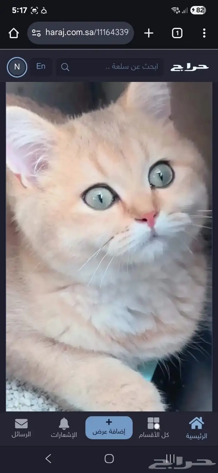ذكر 4