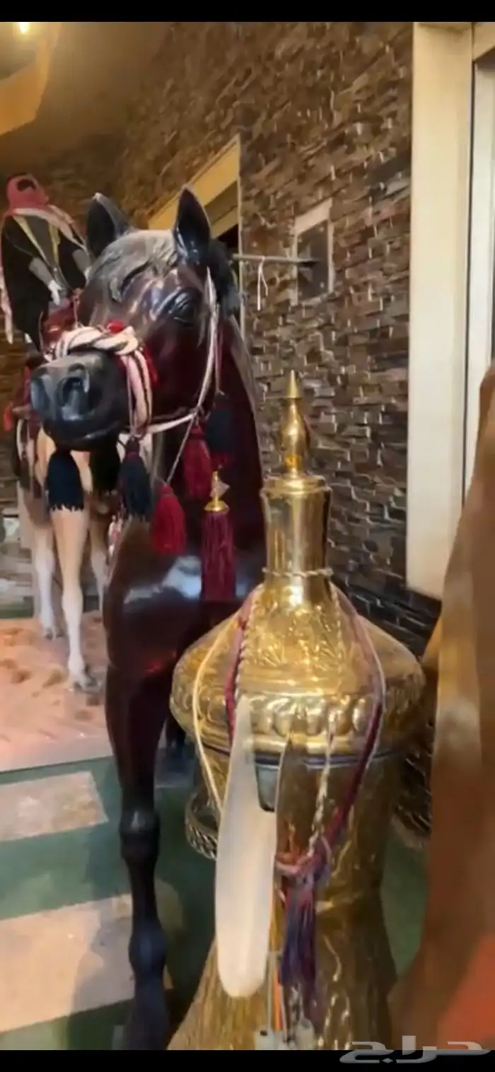 مجسمات جمل عدد 2 وخيل عدد 1 جميلة ودله عملاقة وكبيرة وفخمة 11