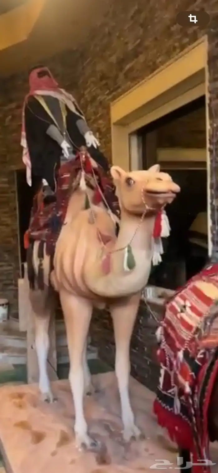 مجسمات جمل عدد 2 وخيل عدد 1 جميلة ودله عملاقة وكبيرة وفخمة 14