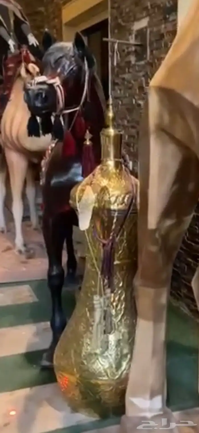 مجسمات جمل عدد 2 وخيل عدد 1 جميلة ودله عملاقة وكبيرة وفخمة 9