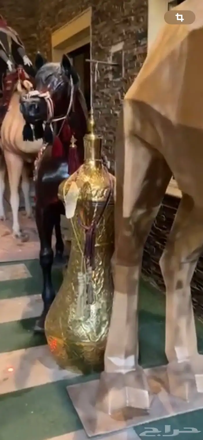 مجسمات جمل عدد 2 وخيل عدد 1 جميلة ودله عملاقة وكبيرة وفخمة 6