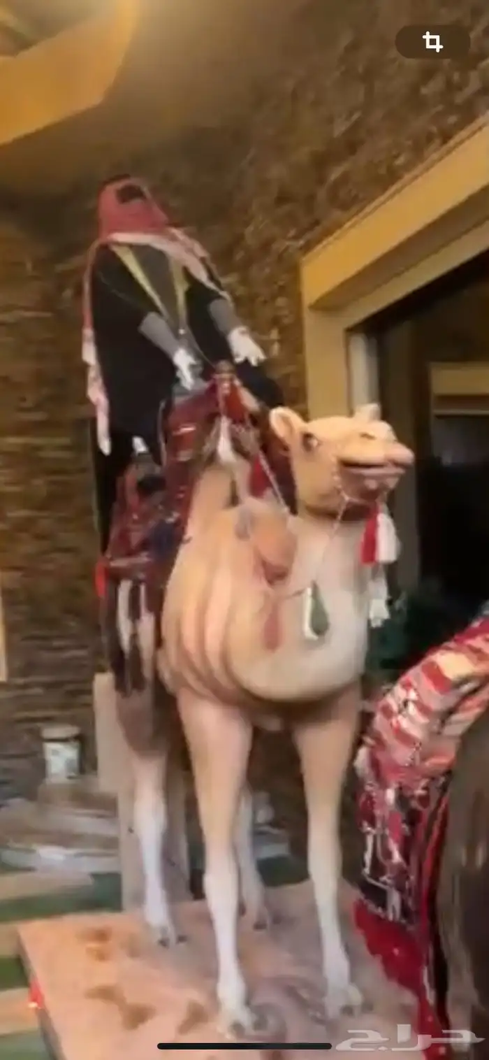مجسمات جمل عدد 2 وخيل عدد 1 جميلة ودله عملاقة وكبيرة وفخمة 0