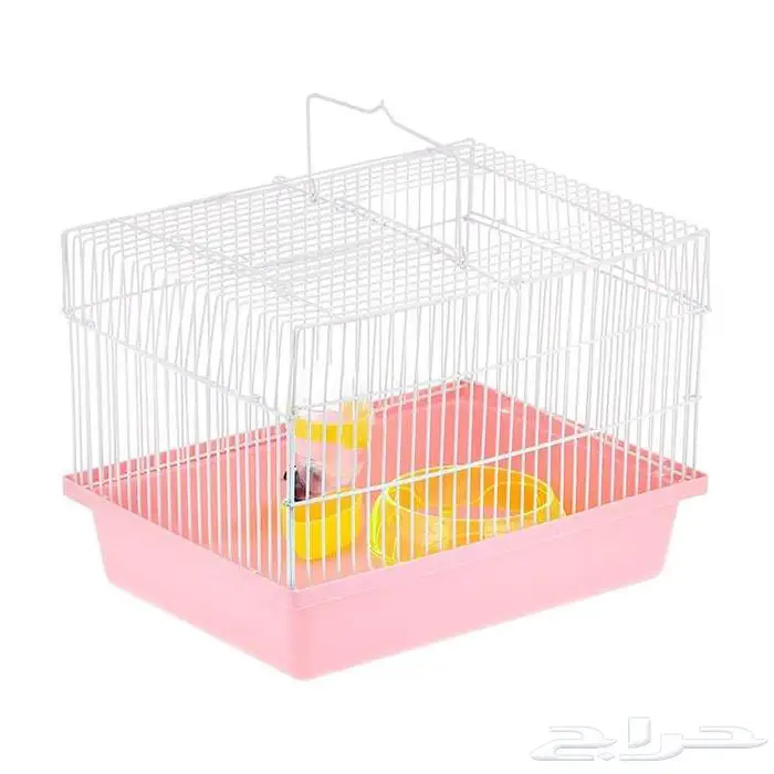 طيور زينة ومستلزماتها محل نوادر خميس مشيط 81