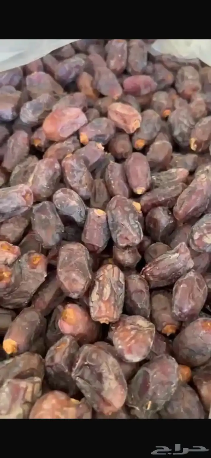 تمر خضري للبيع 2