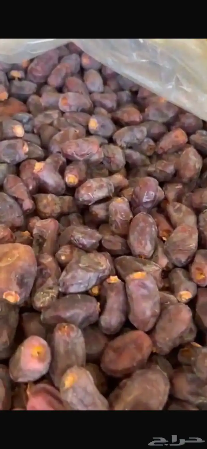 تمر خضري للبيع 1