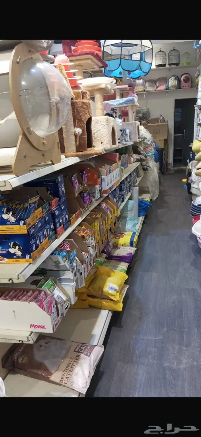 محل حيوانات جده الحمدانيه 2