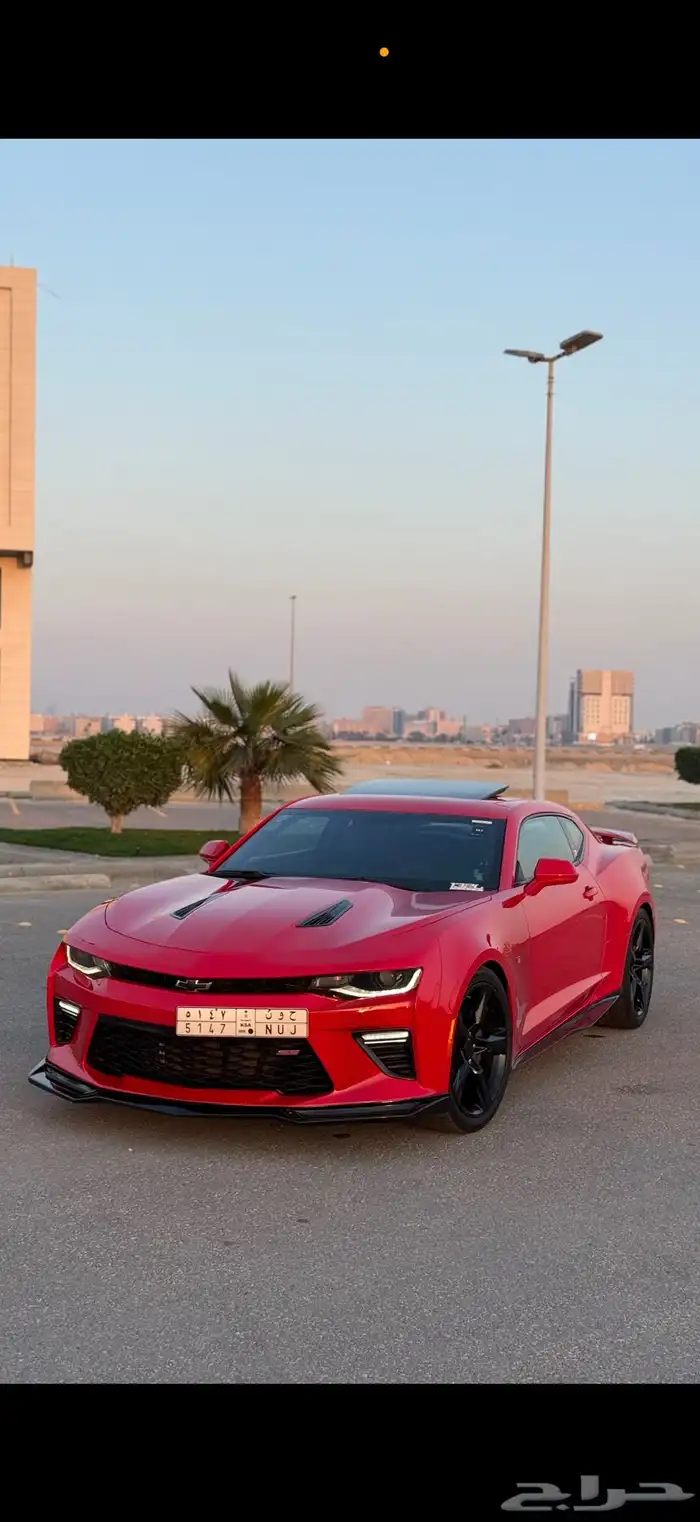 كمارو SS2 2017 0