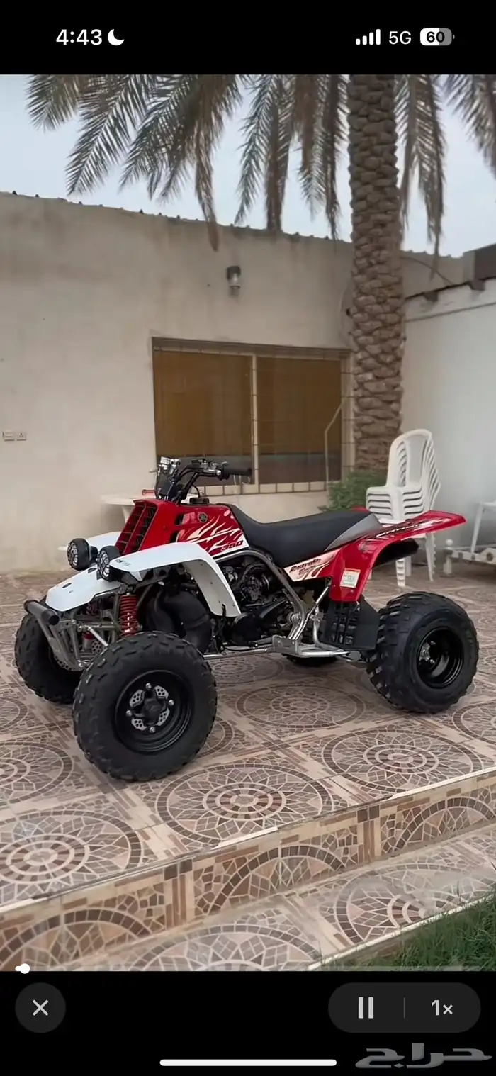 مطلوب بانشي 0