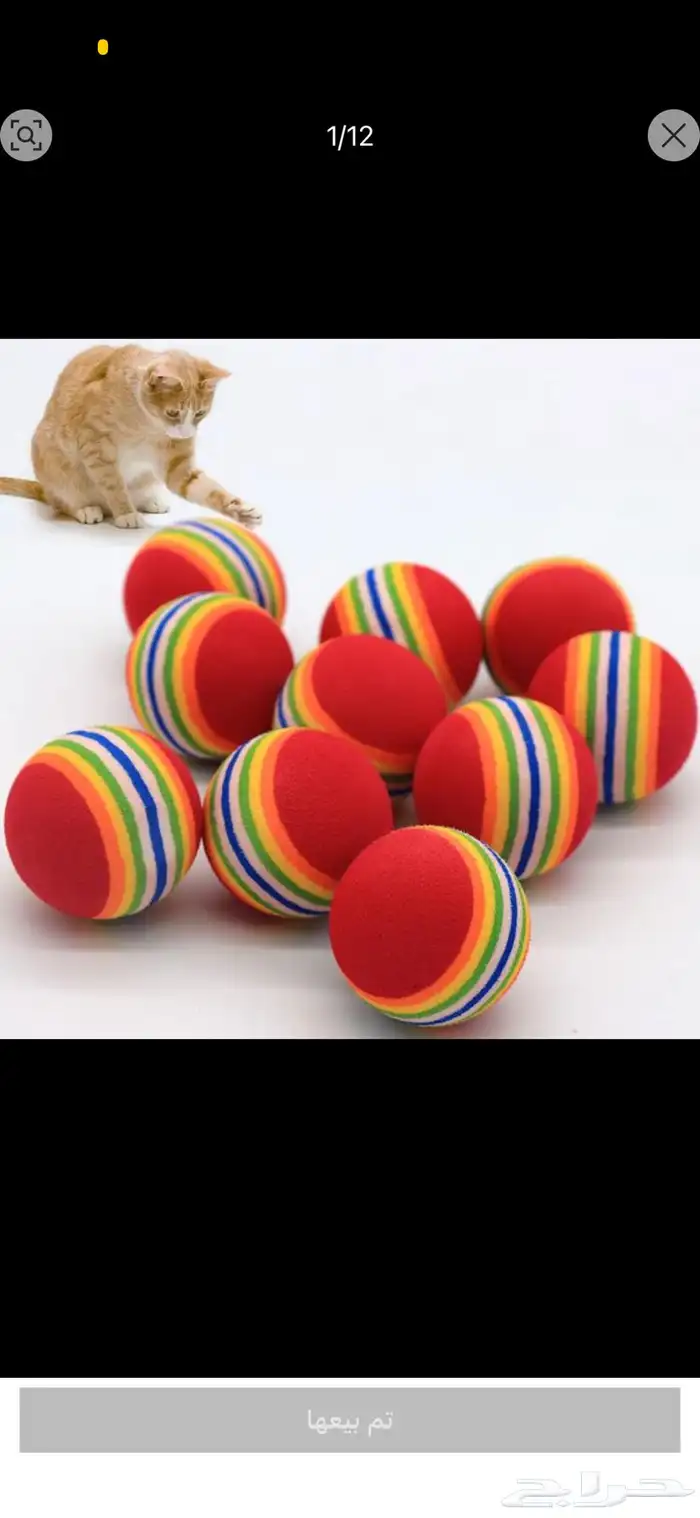 مستلزمات قطط 27