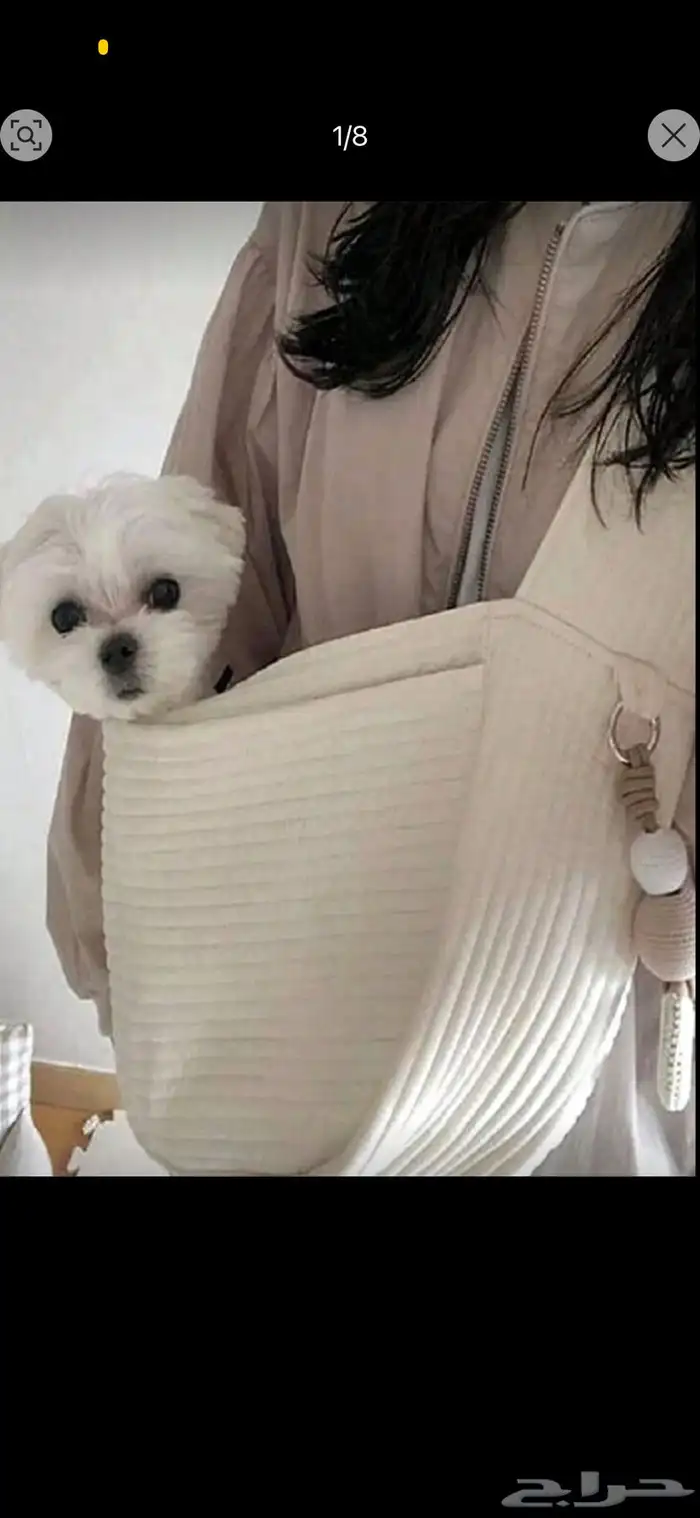 مستلزمات قطط 7